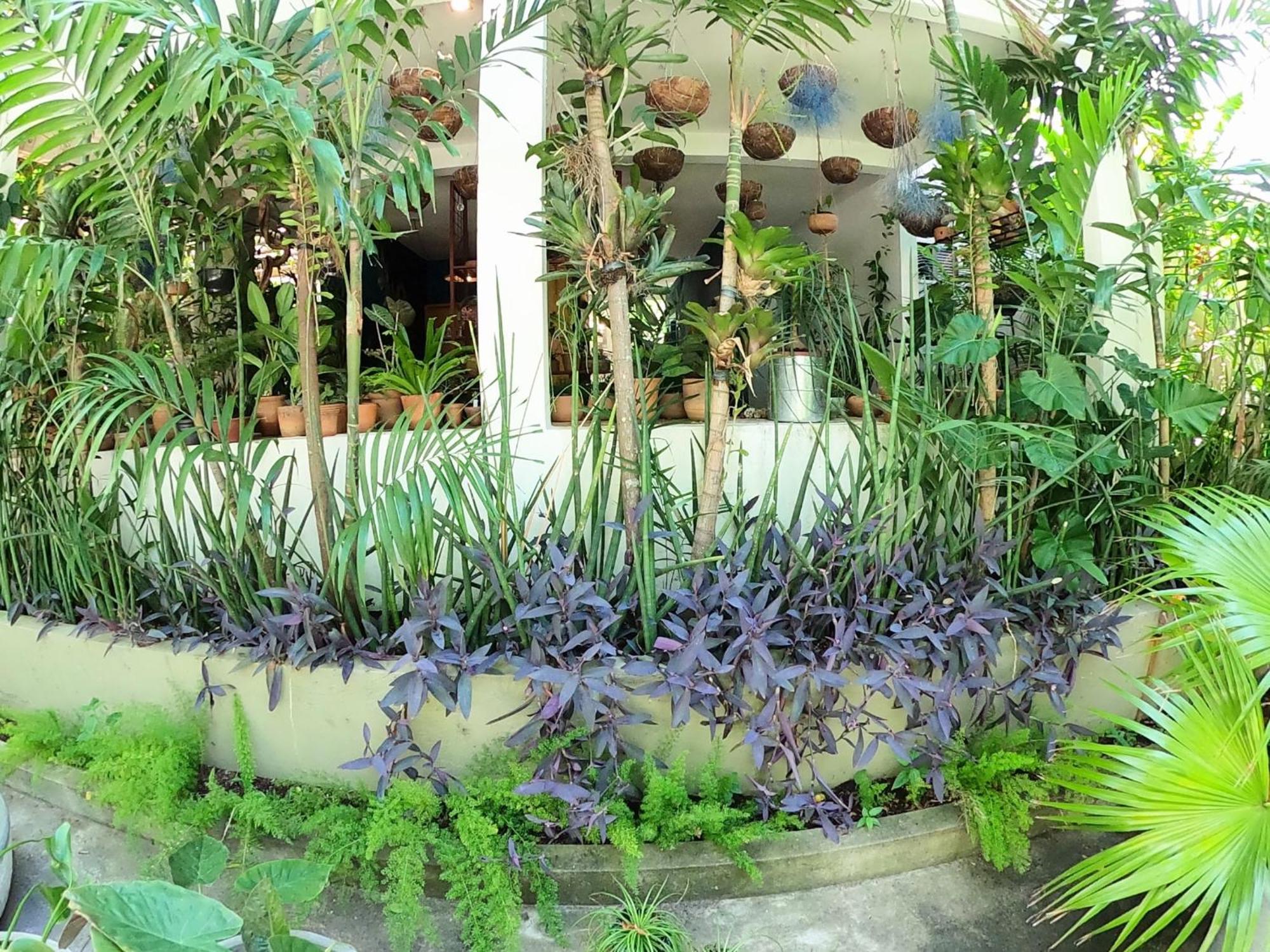 Appartamento Residencial Casa Flor Atelier Botanico, Ponta Negra Natal Esterno foto