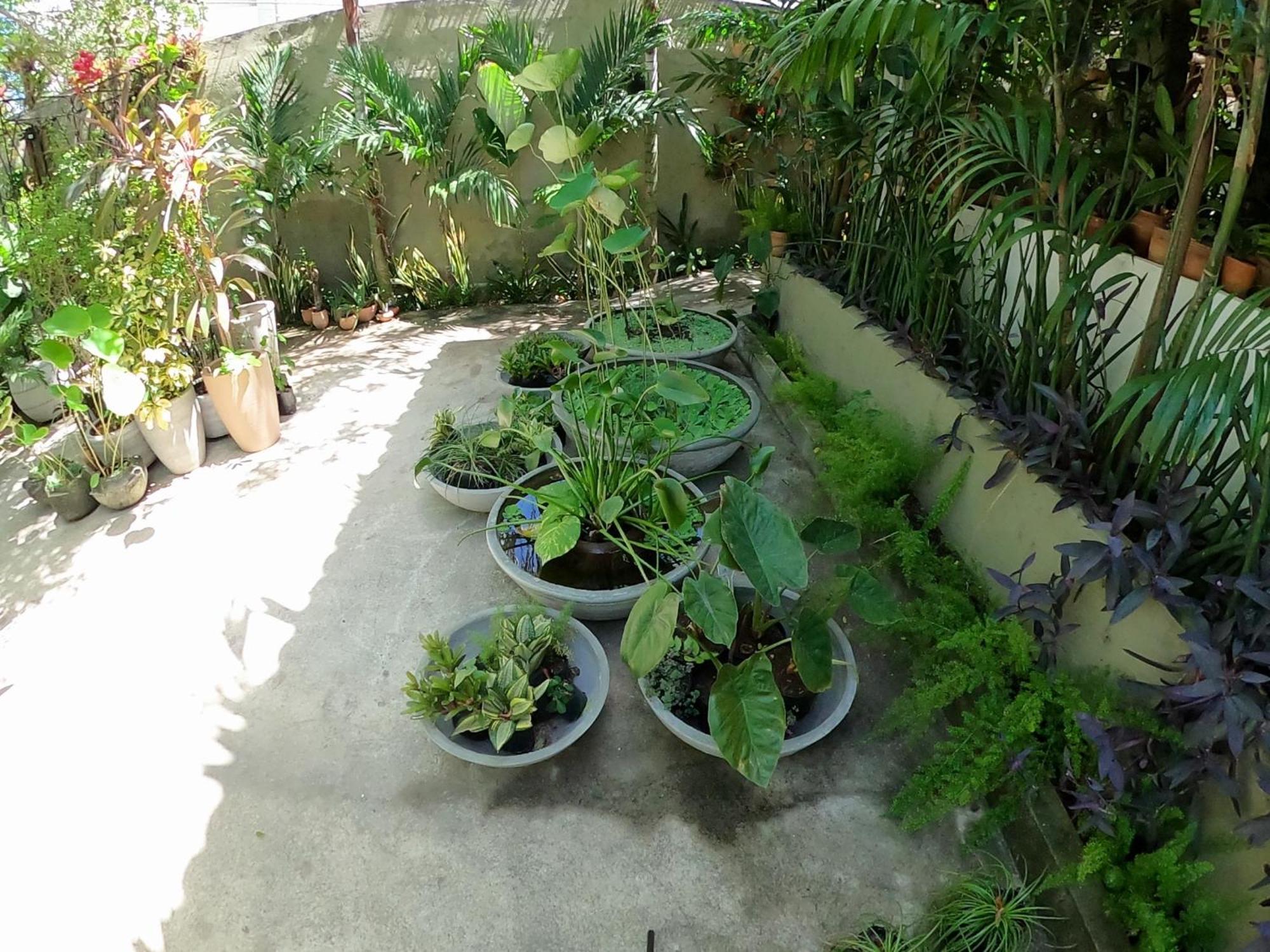 Appartamento Residencial Casa Flor Atelier Botanico, Ponta Negra Natal Esterno foto