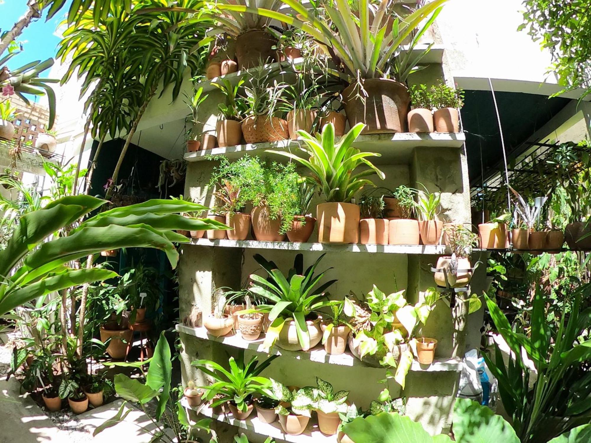 Appartamento Residencial Casa Flor Atelier Botanico, Ponta Negra Natal Esterno foto
