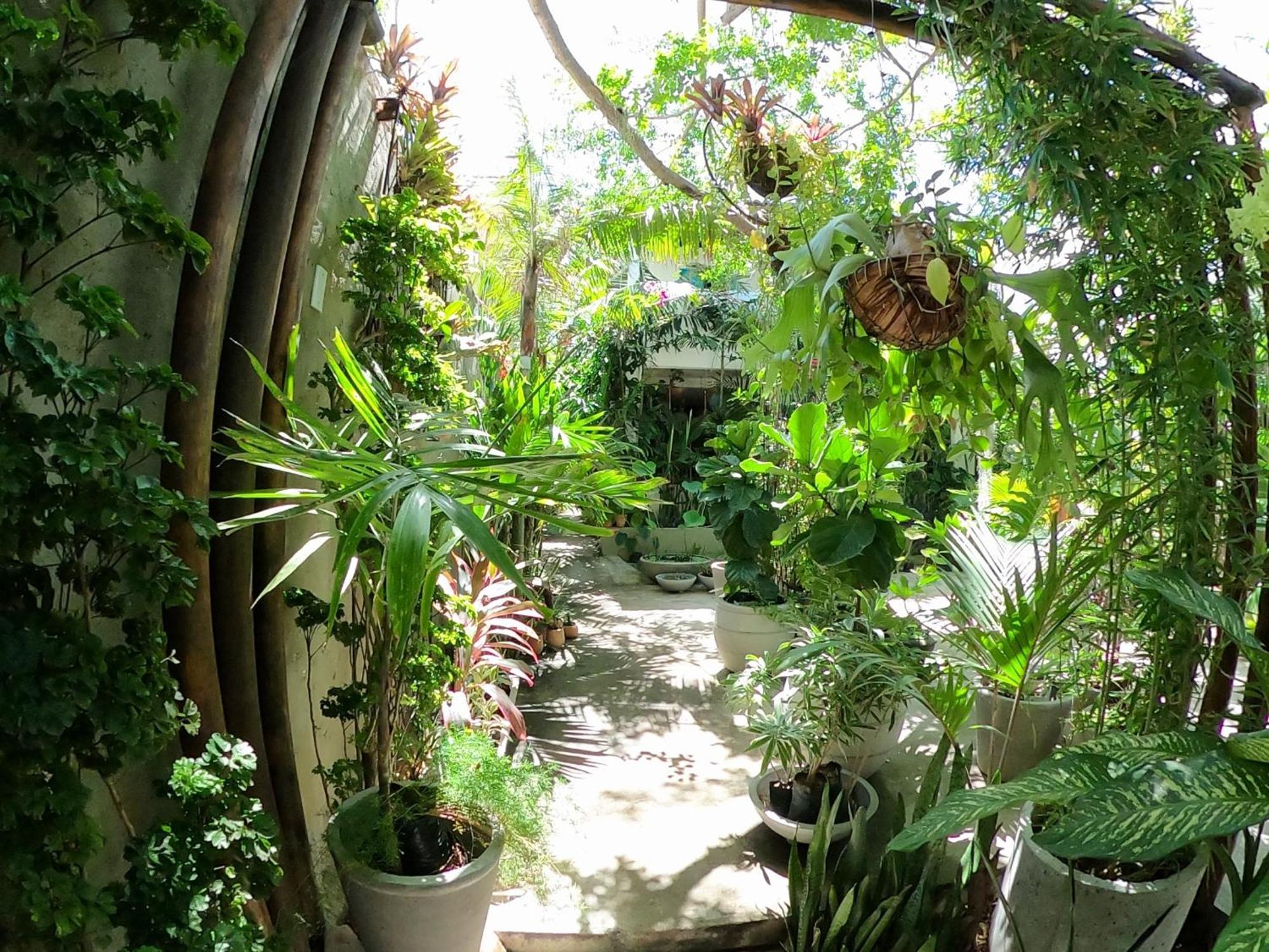 Appartamento Residencial Casa Flor Atelier Botanico, Ponta Negra Natal Esterno foto