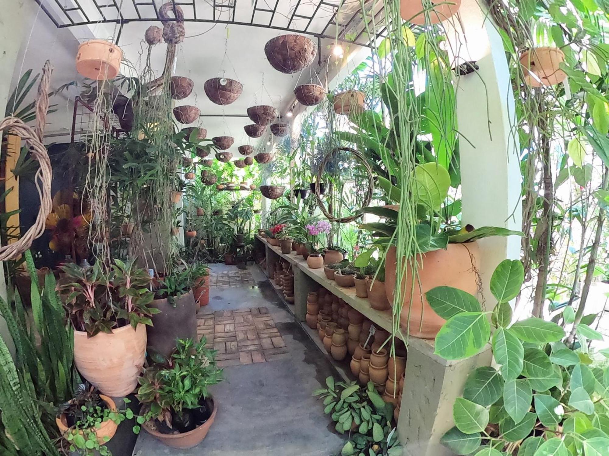 Appartamento Residencial Casa Flor Atelier Botanico, Ponta Negra Natal Esterno foto