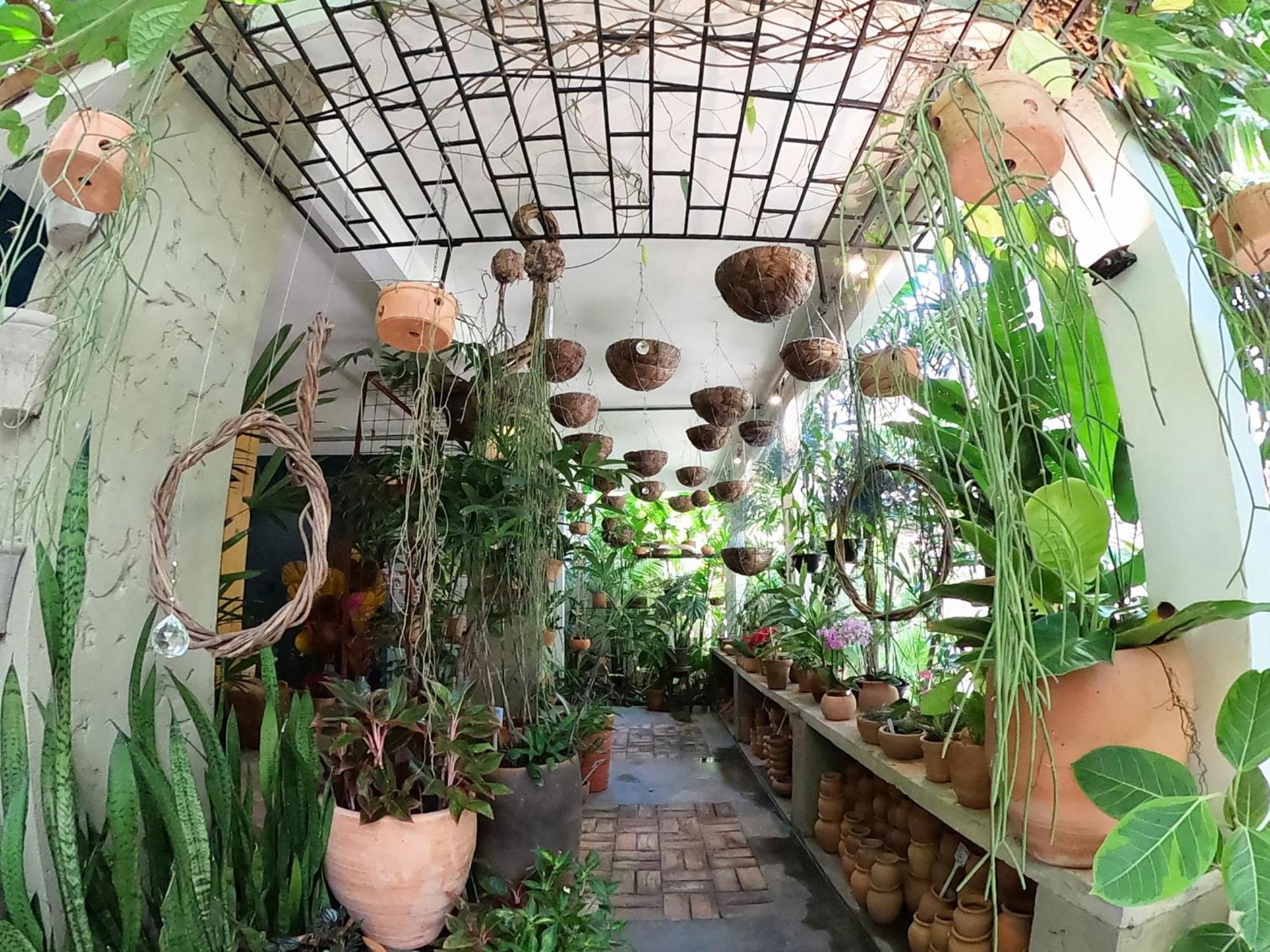 Appartamento Residencial Casa Flor Atelier Botanico, Ponta Negra Natal Esterno foto
