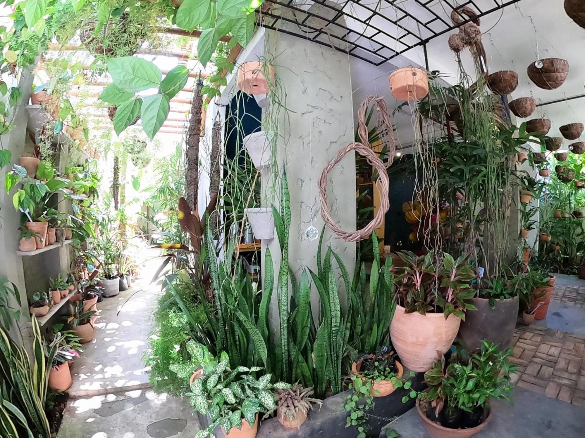 Appartamento Residencial Casa Flor Atelier Botanico, Ponta Negra Natal Esterno foto