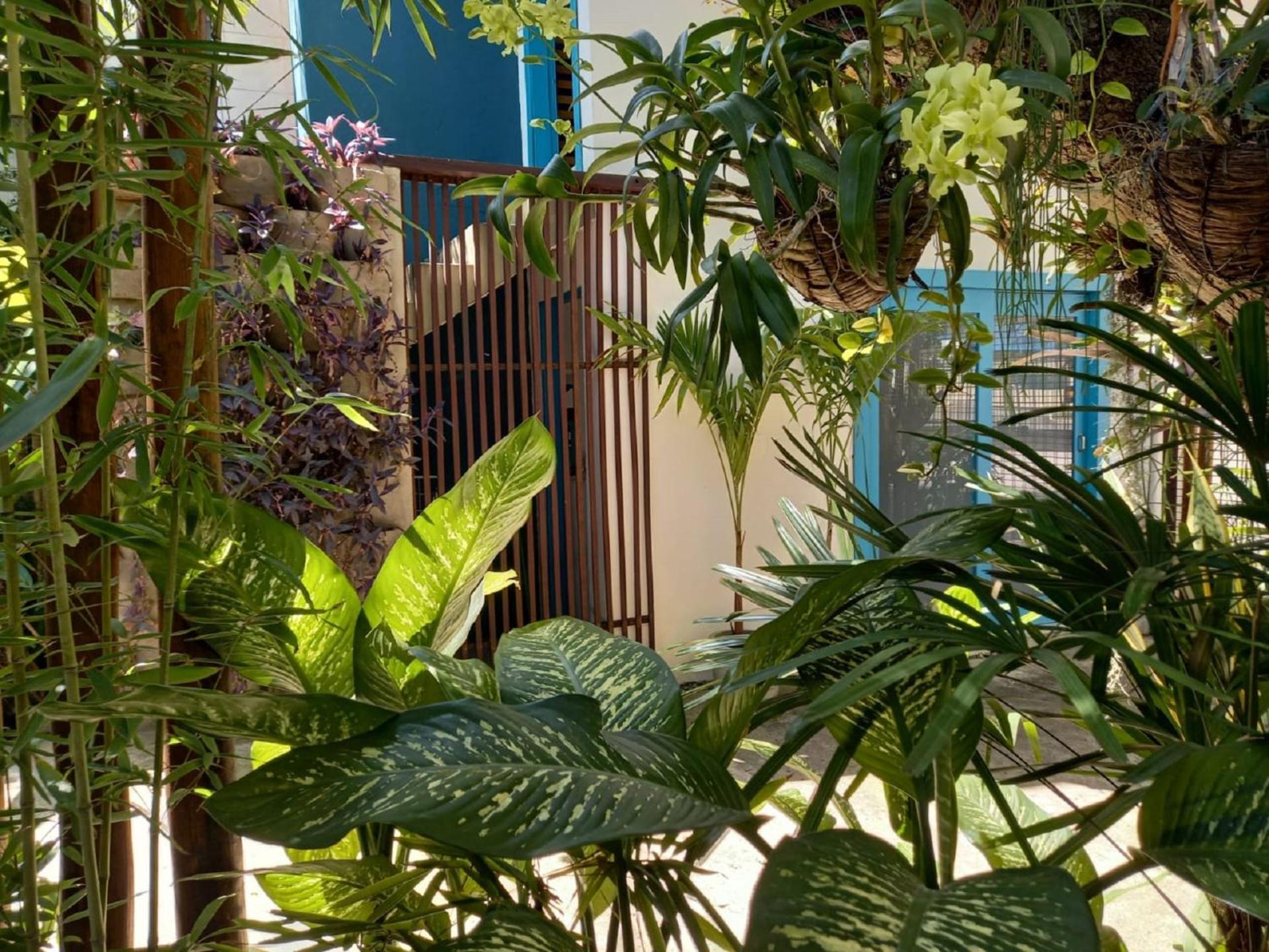 Appartamento Residencial Casa Flor Atelier Botanico, Ponta Negra Natal Esterno foto