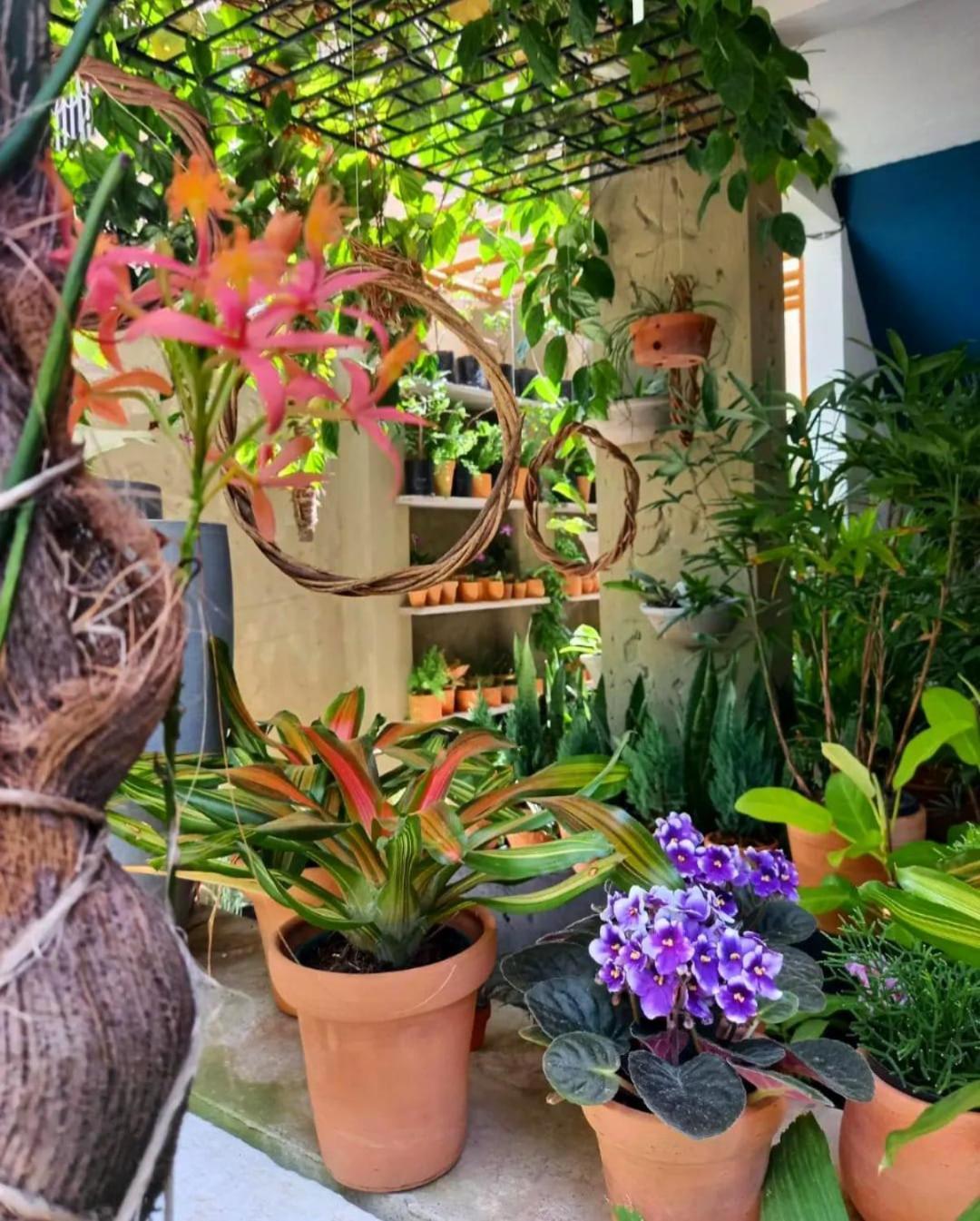 Appartamento Residencial Casa Flor Atelier Botanico, Ponta Negra Natal Esterno foto